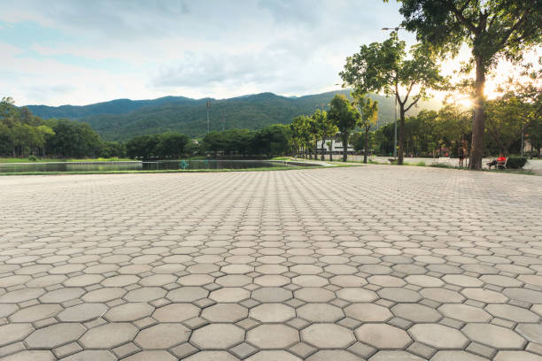 Best Affordable Driveway Paving  in Carrier Mls, IL